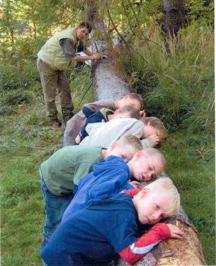 Foto: Was Kinder im Wald alles hören